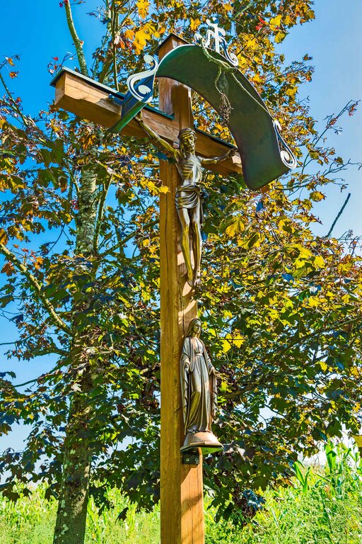 Image: 17_O5A2723 Schaffler.jpg